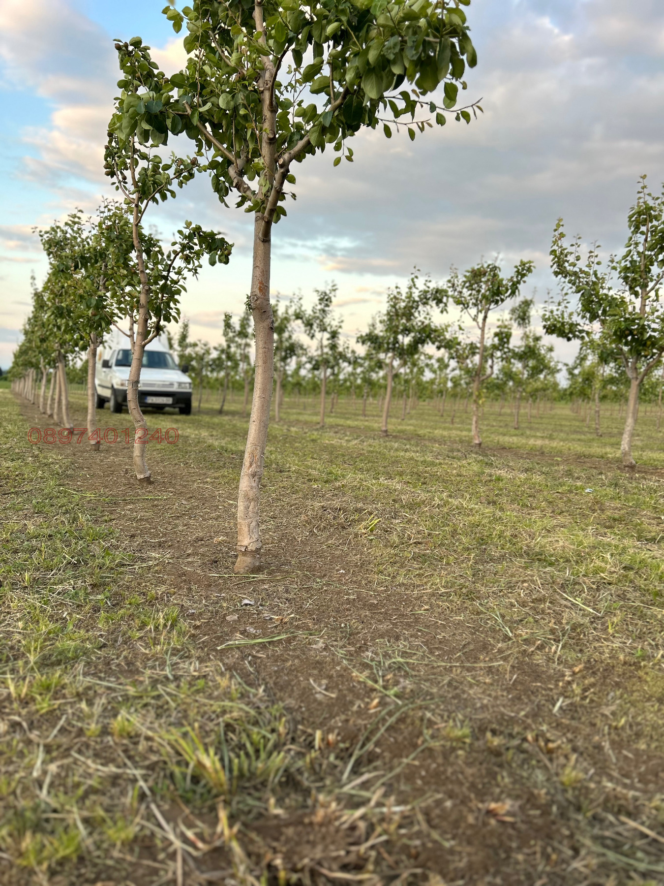 ������� ���������� ���� | Imot.bg � ����������� 14