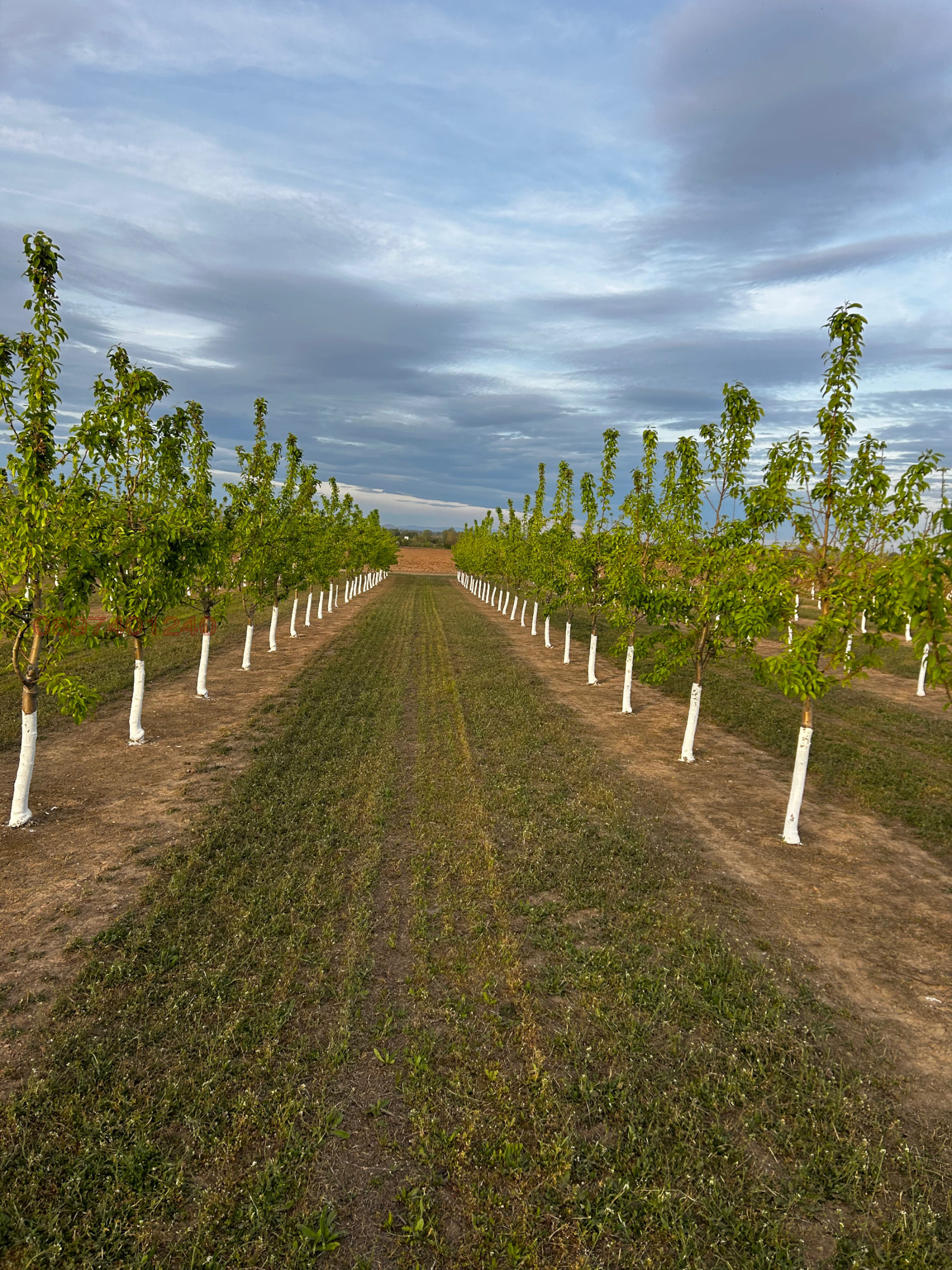 ������� ���������� ���� | Imot.bg � ����������� 4