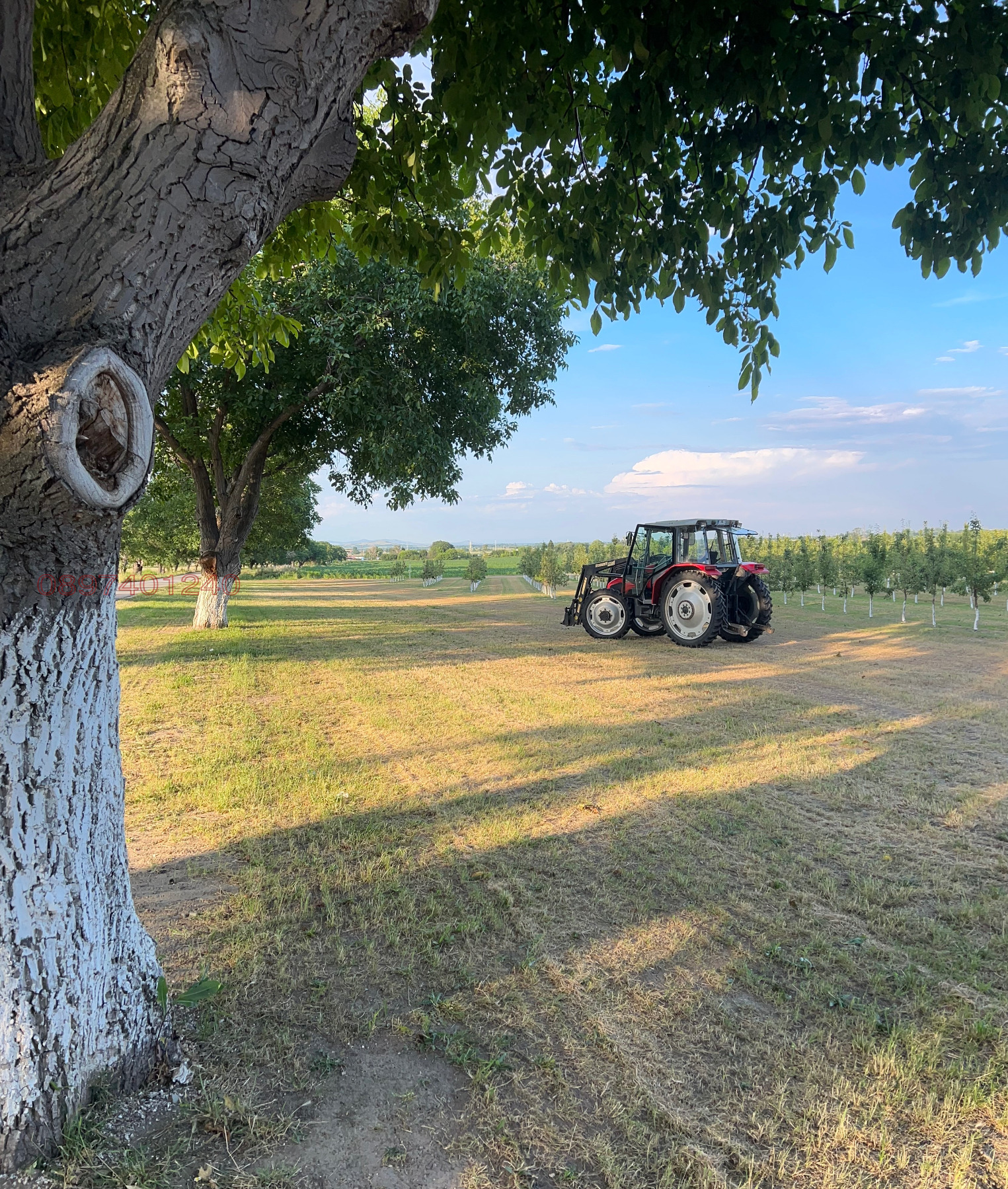 ������� ���������� ���� | Imot.bg � ����������� 9