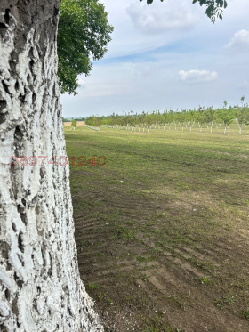 ������� ���������� ���� | Imot.bg � ����� ������ 6