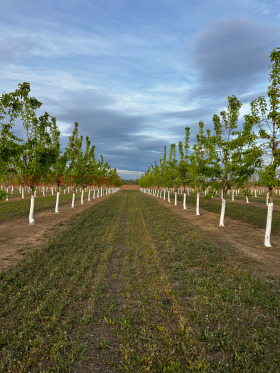 ����� ������� ���������� ����,�. ����������, ������ ���������