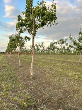 ������� ���������� ���� | Imot.bg � ����� ������ 13