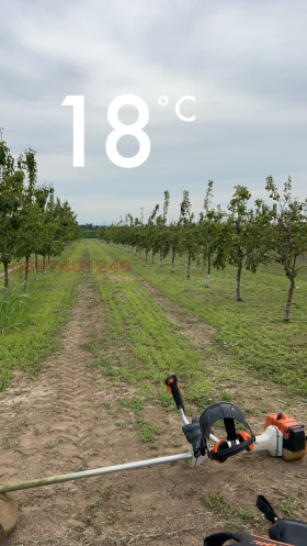 ������� ���������� ���� | Imot.bg � ����� ������ 11