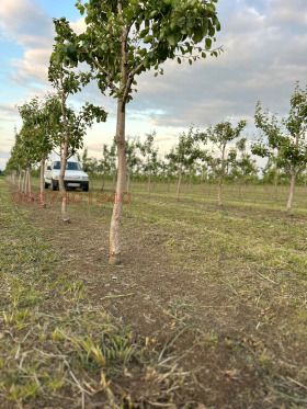 ������� ���������� ���� | Imot.bg � ����� ������ 14