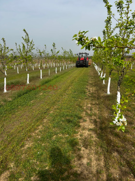 ������� ���������� ���� | Imot.bg � ����� ������ 2