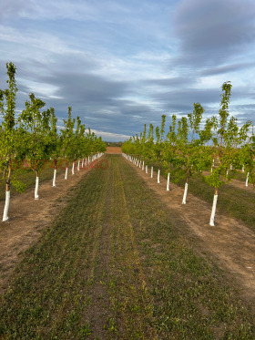 ������� ���������� ���� | Imot.bg � ����� ������ 4