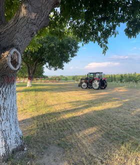 ������� ���������� ���� | Imot.bg � ����� ������ 9