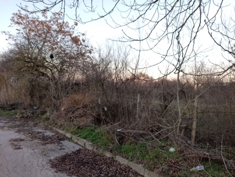 Til salg  Grund region Varna , Cherventsi , 2000 kvm | 58666122 - billede [13]