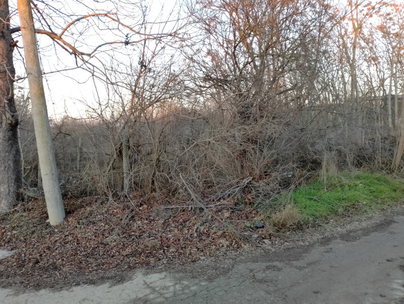 Til salg  Grund region Varna , Cherventsi , 2000 kvm | 58666122 - billede [7]