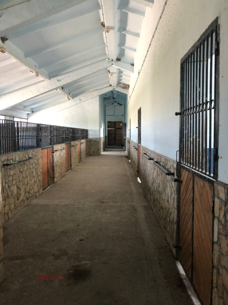 Продава БИЗНЕС ИМОТ, с. Гърло, област Перник, снимка 14 - Други - 52681992