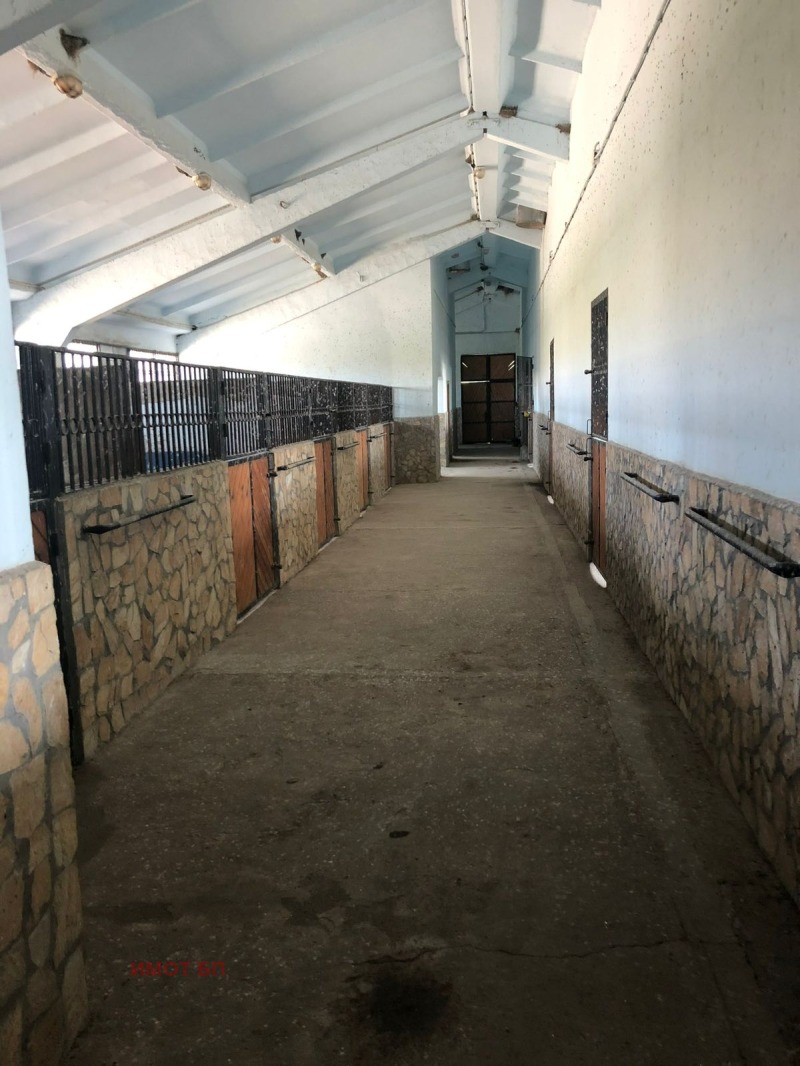 Продава БИЗНЕС ИМОТ, с. Гърло, област Перник, снимка 8 - Други - 52681992