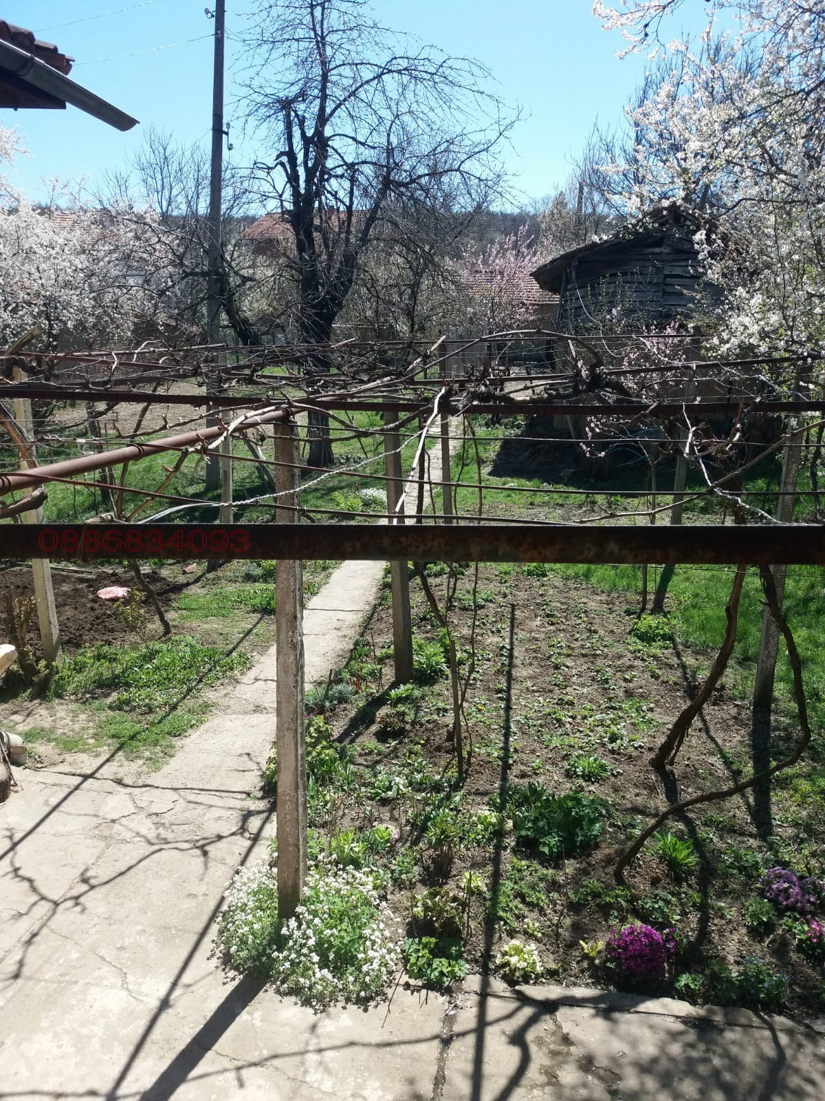 Продава КЪЩА, с. Берсин, област Кюстендил, снимка 5 - Къщи - 56746203