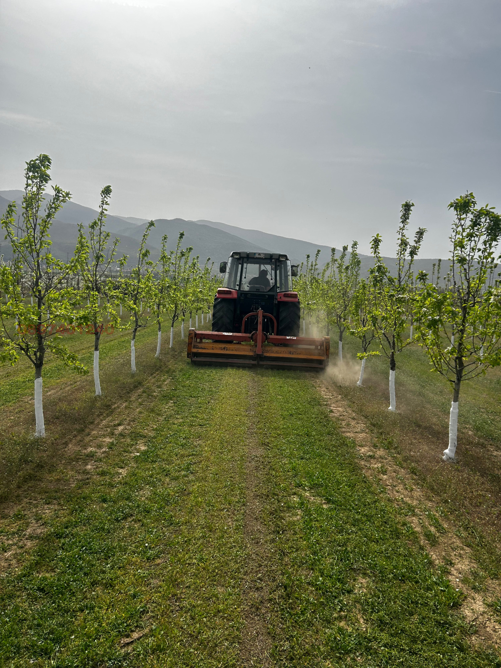 Продава ЗЕМЕДЕЛСКА ЗЕМЯ, с. Симеоновец, област Пазарджик, снимка 3 - Земеделска земя - 53884971