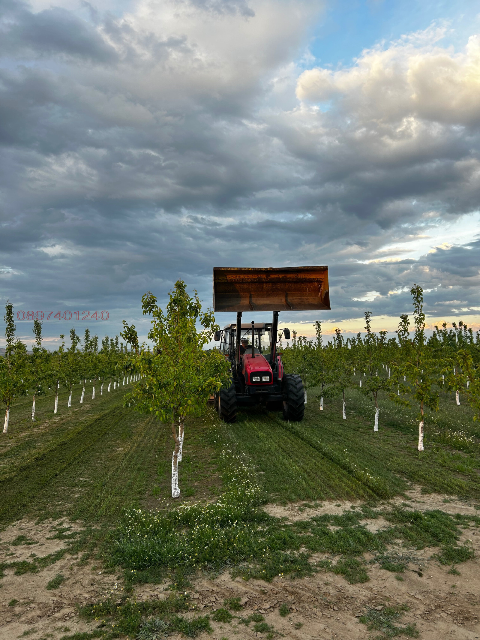 Продава ЗЕМЕДЕЛСКА ЗЕМЯ, с. Симеоновец, област Пазарджик, снимка 5 - Земеделска земя - 53884971