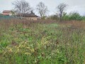 Продава КЪЩА, област Велико Търново, с. Поликраище • 70000 лв. • 99842564 — Holmes.bg