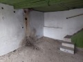 Продава КЪЩА, област Велико Търново, с. Поликраище • 70000 лв. • 99842564 — Holmes.bg