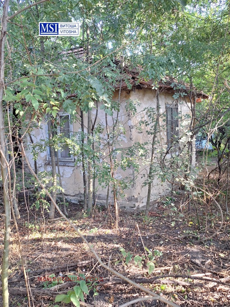 Продава ПАРЦЕЛ в област Видин, с. Шишенци - 1000 кв.м / 5 900 € » 11 539.40 лв., МСИ ВИТОША - ЕООД