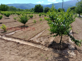 ������� ���������� ���� | Imot.bg � ����� ������ 4