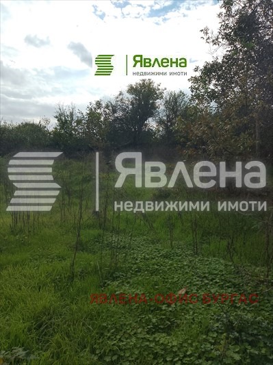 Продава КЪЩА, с. Фазаново, област Бургас, снимка 11 - Къщи - 52217515