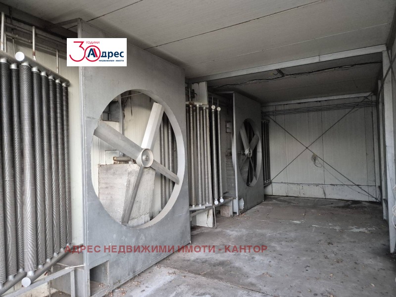 Продава ПРОМ. ПОМЕЩЕНИЕ, с. Лозен, област Пазарджик, снимка 10 - Производствени сгради - 52836864