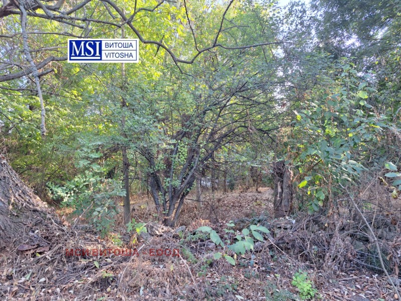 Eladó  Cselekmény régió Vidin , Sisenci , 1000 négyzetméter | 35543073 - kép [6]