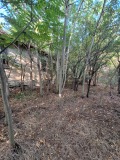 Продава ПАРЦЕЛ, област Видин, с. Шишенци • 5900 € • 28532413 — Holmes.bg
