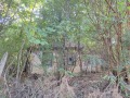 Продава ПАРЦЕЛ, област Видин, с. Шишенци • 5900 € • 28532413 — Holmes.bg