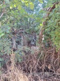 Продава ПАРЦЕЛ, област Видин, с. Шишенци • 5900 € • 28532413 — Holmes.bg