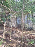 Продава ПАРЦЕЛ, област Видин, с. Шишенци • 5900 € • 28532413 — Holmes.bg