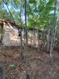Продава ПАРЦЕЛ, област Видин, с. Шишенци • 5900 € • 28532413 — Holmes.bg