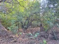 Продава ПАРЦЕЛ, област Видин, с. Шишенци • 5900 € • 28532413 — Holmes.bg