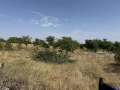Продава ПАРЦЕЛ, област Велико Търново, с. Самоводене • 43000 € • 52026060 — Holmes.bg