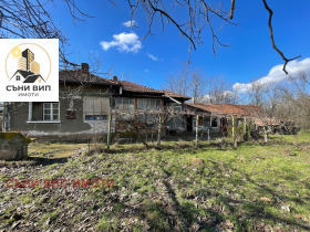 ������ ������� ����