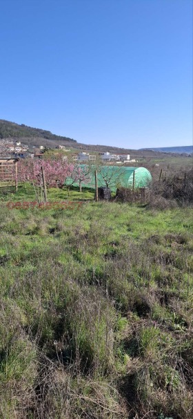 ������� ������ | Imot.bg � ����� ������ 6