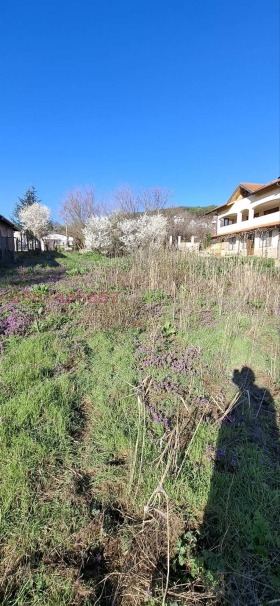 ����� ������� ������,�. ��������, ������ ������