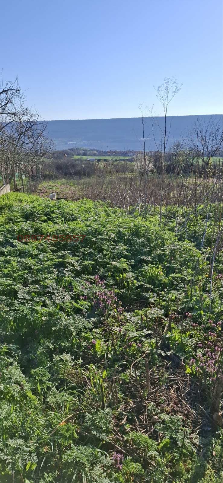 Продава ПАРЦЕЛ, с. Рогачево, област Добрич, снимка 7 - Парцели - 54112778