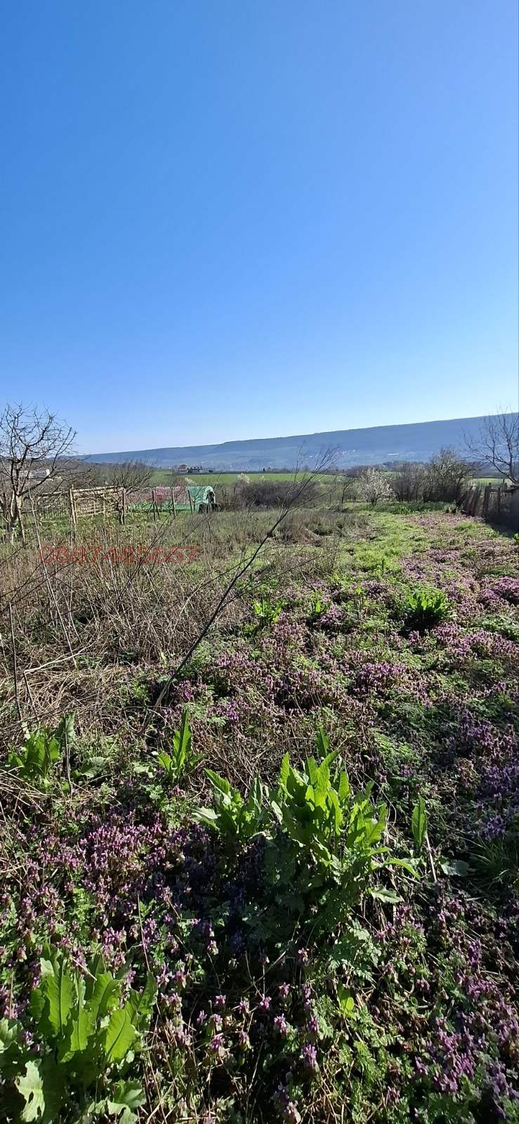 Продава ПАРЦЕЛ, с. Рогачево, област Добрич, снимка 3 - Парцели - 54112778