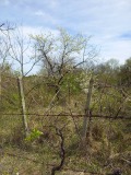 Продава ПАРЦЕЛ, гр. Русе, в.з. Левента, снимка 2