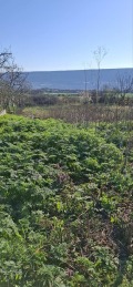 Продава ПАРЦЕЛ, област Добрич, с. Рогачево • 55000 € / 107570.65 лв. • 48513770 7