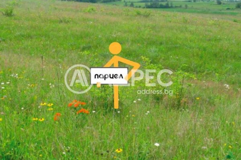 Продаја  Плот Софија , Мрамор , 104000 м2 | 77656009