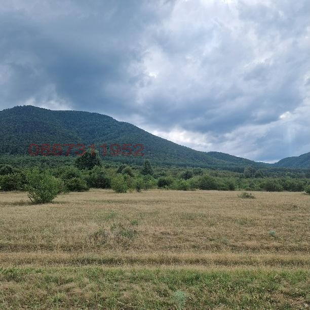 Продава ЗЕМЕДЕЛСКА ЗЕМЯ, гр. Долна баня, област София област, снимка 2 - Земеделска земя - 53106249