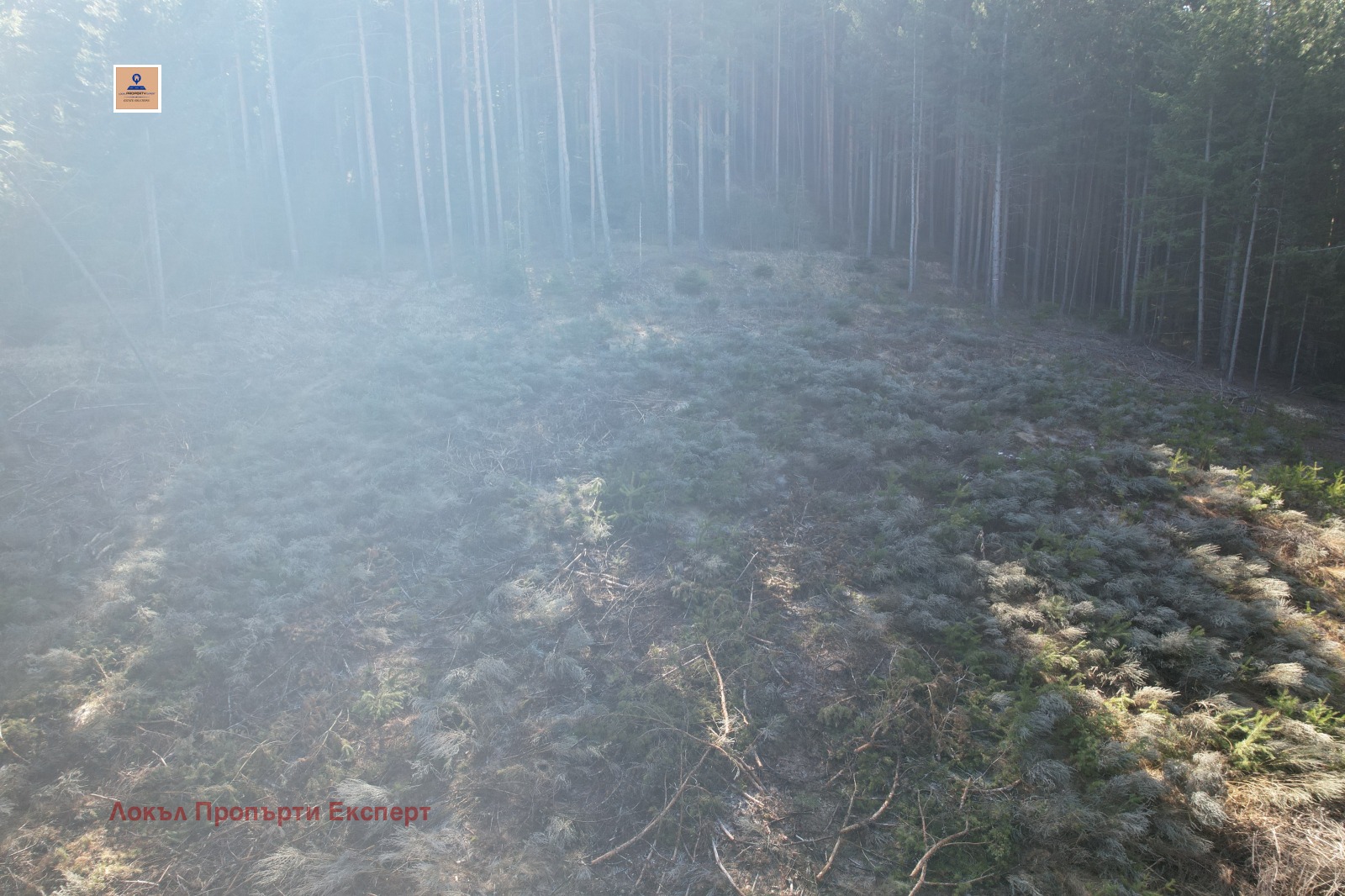 ������� ������ | Imot.bg � ����������� 2