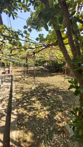 ������� ���� | Imot.bg � ����� ������ 8