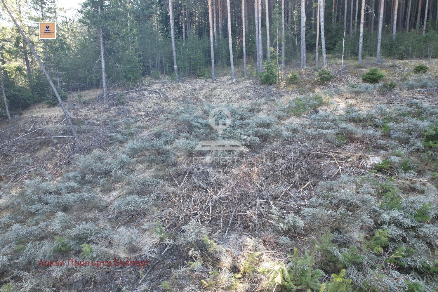 Продава ПАРЦЕЛ, гр. Банско, област Благоевград, снимка 3 - Парцели - 53808222