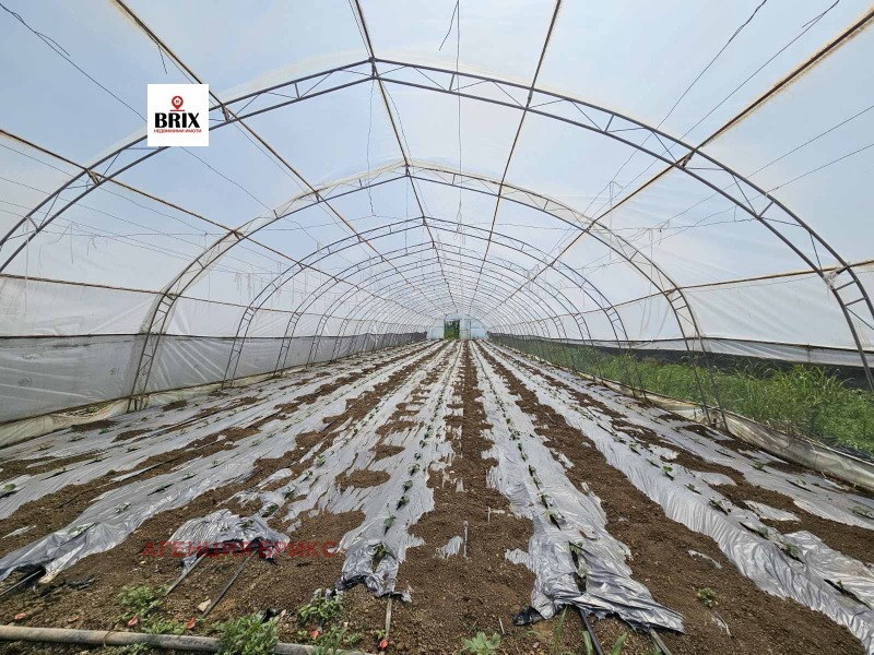 Προς πώληση  Γη περιοχή Ruse , Μαρτεν , 5 dka | 80477130 - εικόνα [6]