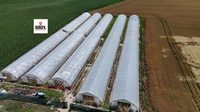 Προς πώληση  Γη περιοχή Ruse , Μαρτεν , 5 dka | 80477130 - εικόνα [2]