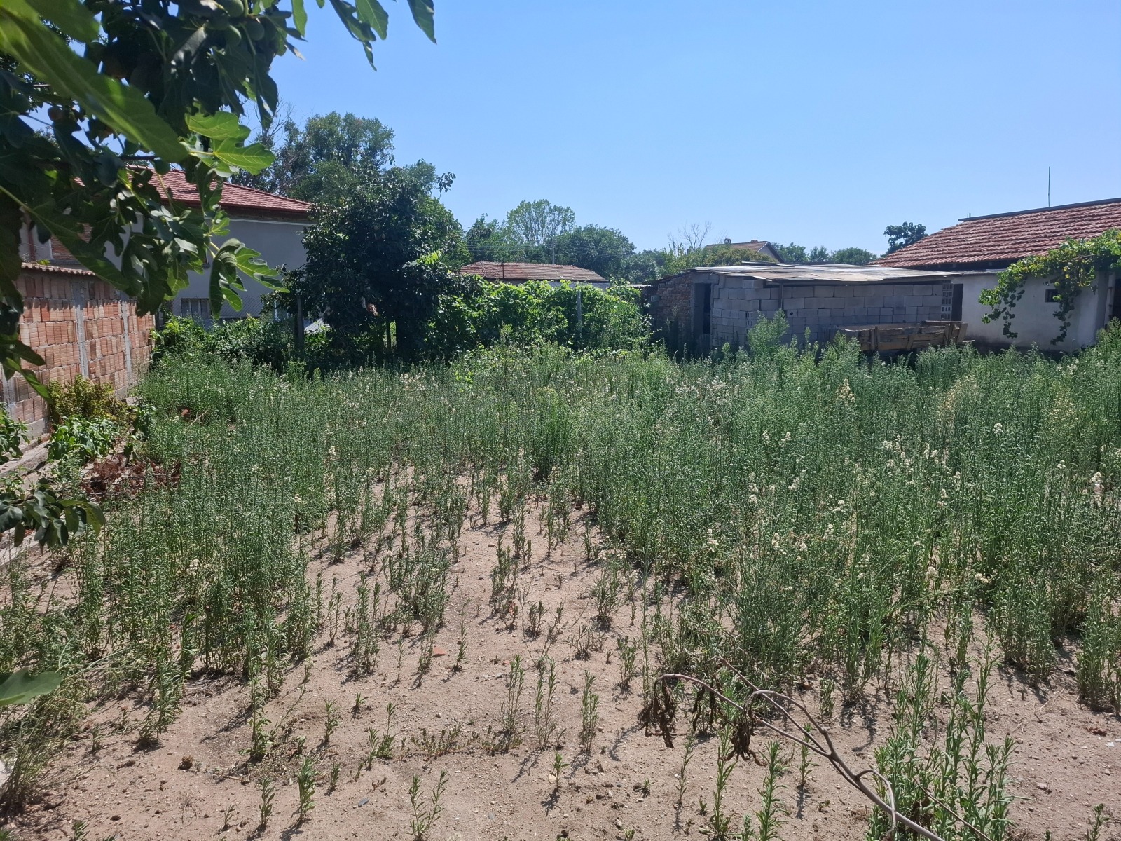 ������� ���� | Imot.bg � ����������� 6