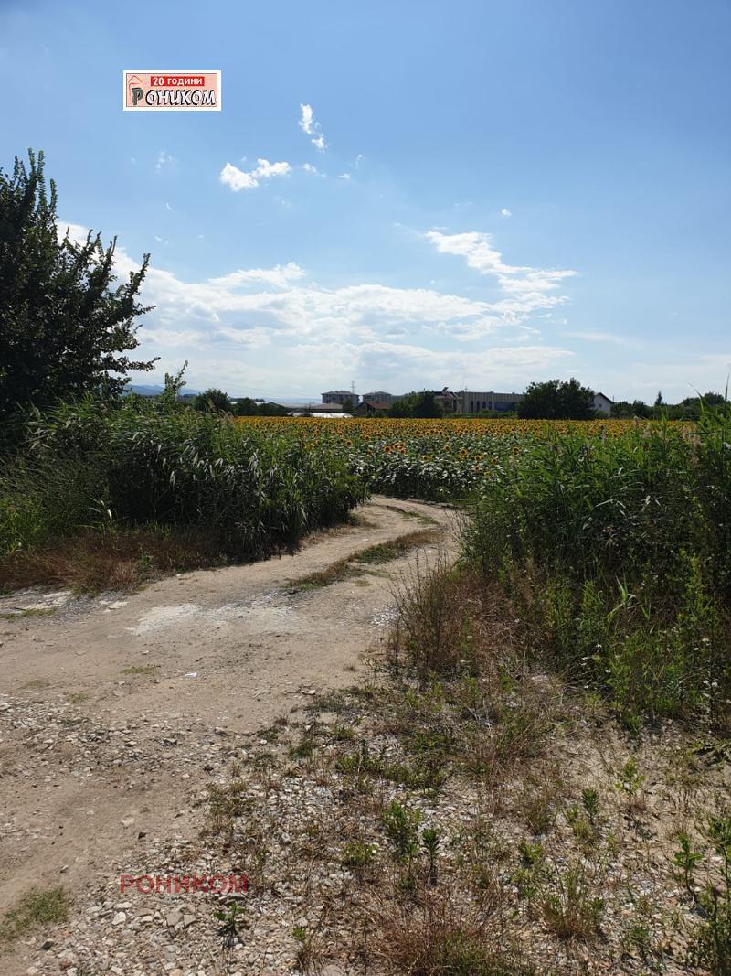 For Sale  Plot Plovdiv , Yuzhen , 6306 sq.m | 27297584 - image [6]