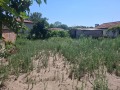 Продава  Къща област Пловдив , с. Дълго поле , 122 кв.м | 63953768 - изображение [6]