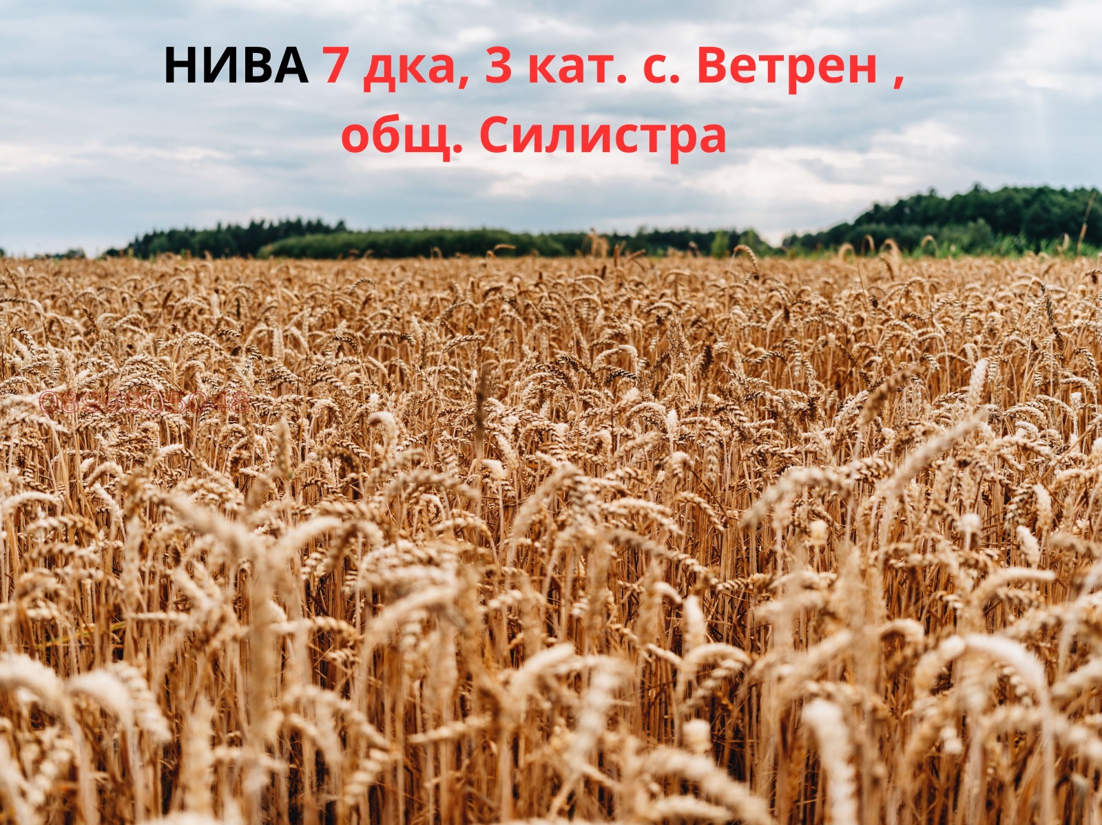 ������� ���������� ���� | Imot.bg � ����������� 1